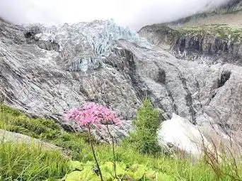 Photo de la langue du glacier d'Argentiere