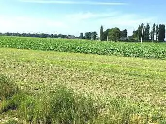 Photo de Battlefields Quatre Bras (1815)