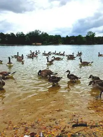 Photo de Forêt Saint Germain - Étang du Corra