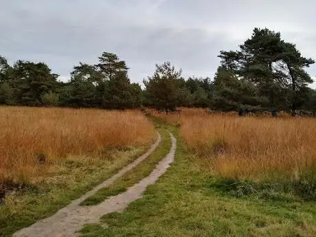 Photo de Rozendaalse Veld