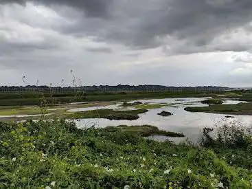 Photo de Leigh National Nature Reserve