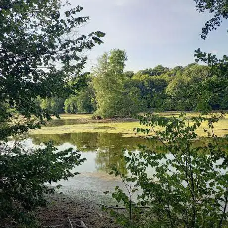 Photo de Ponds of Commelles