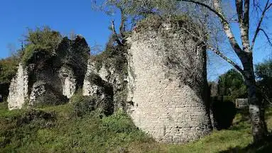 Photo de Château de Lavauguyon