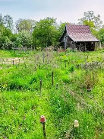 Photo de Edener ApfelKräuter-Garten Gemeinnützige Aktiengesellschaft