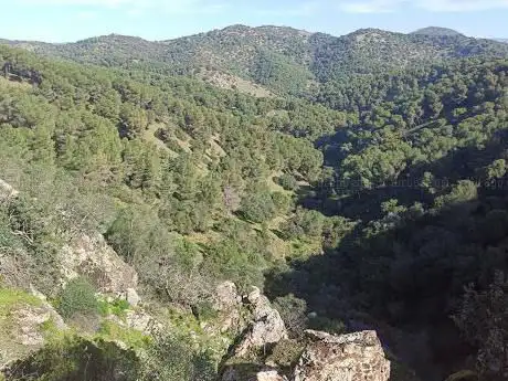 Photo de Cascada Arroyo Del Gallo