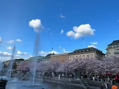 Photo de Forumdammen