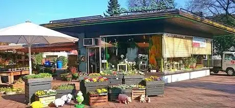 Photo de Flowers Merkelbach (flowers Breuer)