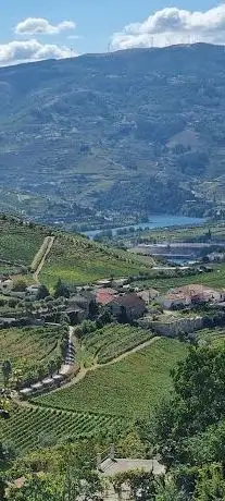 Photo de Miradouro do Fial