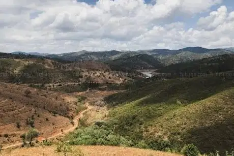 Photo de Mata Nacional da Herdade da Parra