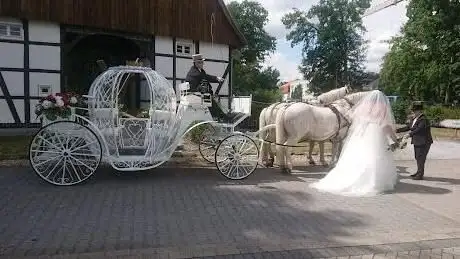 Photo de Planwagenfahrten und Hochzeitskutschen Döbbe