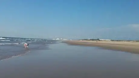 Photo de Praia da Ribeira de Altura