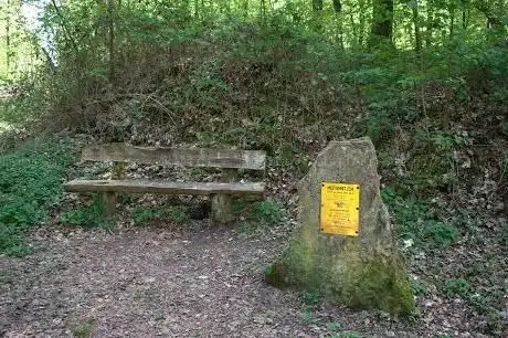 Photo de Keltenstein