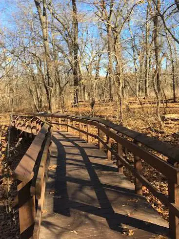 John F. Kennedy Memorial Forest