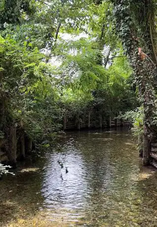 Photo de Sorgiva Quarantina
