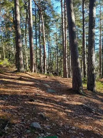 Photo de Ängsbergets Discgolfbana