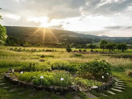 Photo de Ricola herb garden