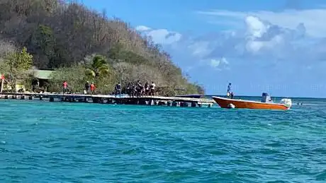 Photo de Captain Toch - Excursions nautiques & dauphins Martinique