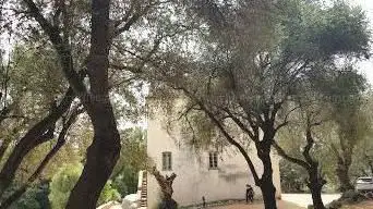 Photo de Domaine des Milelli
