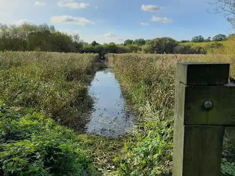 Photo de Springwell Reedbed