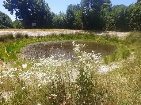Photo de Stagno Di Gropada