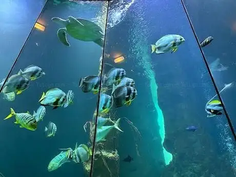 Photo of Haus des Meeres