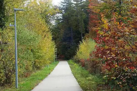 Photo de Arboretum Heverleebos