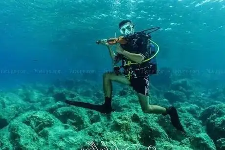 Photo de Muti Diving Center