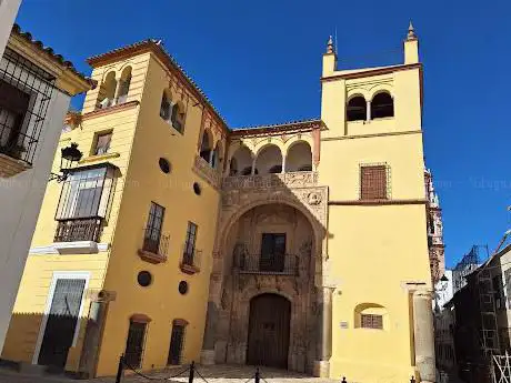 Photo de Palacio de Valdehermoso