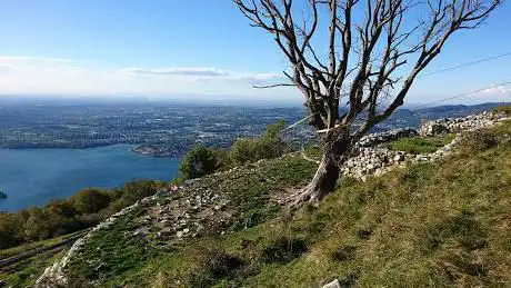 Photo de Il vecchio faggio del Monte Cornizzolo
