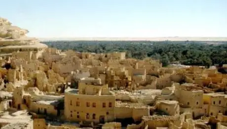 Photo de منتجات سيوة