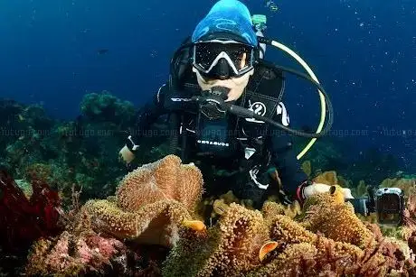 Photo de Ayışığı Dalış Merkezi