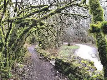 Photo de Combe à la Serpent