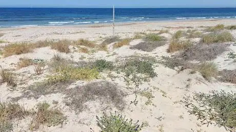 Photo de Playa de la Torre Derribada
