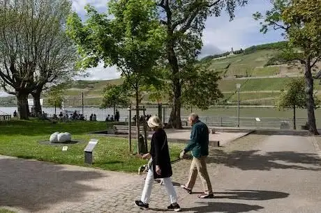 Photo de Rheinpromenade Kultur-Ufer Bingen