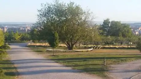 Photo de Plaza de las Cometas