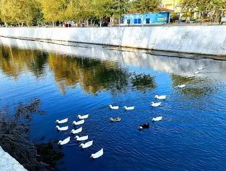 Photo de Altinoluk Park