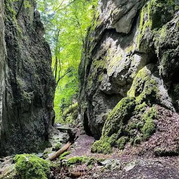 Photo de Wolfsschlucht Herbetswil