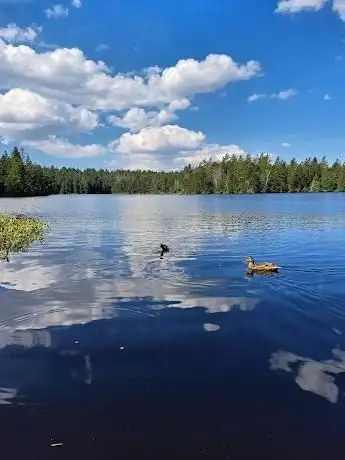 Photo de Étang de la Gruère