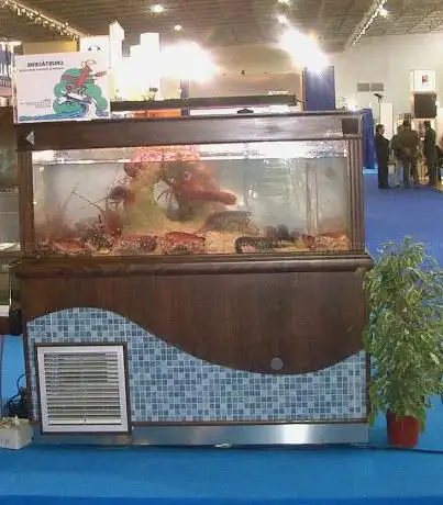 Photo de Aquários Crustáceos