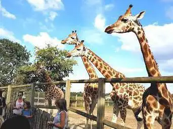 Photo de Natur'Zoo Mervent