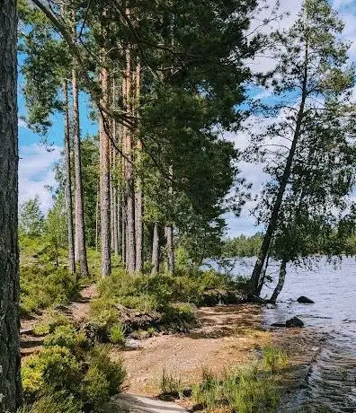Photo de Sävsjön hike