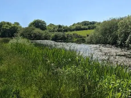 Photo de Anne Valley Nature And Wildlife Walk