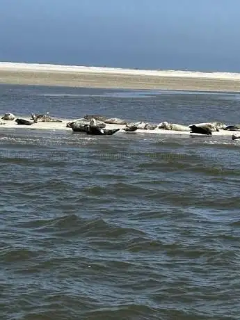 Photo de Otzumer Balje