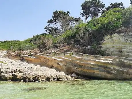 Photo de Oasi Gelsomineto