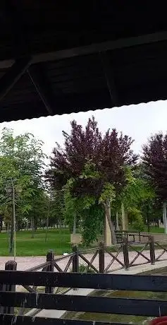 Photo de Gedavet Park