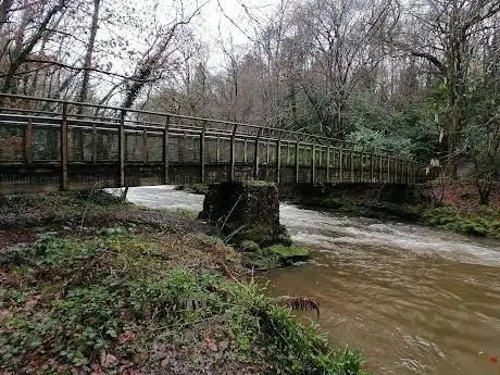 Clare Glen
