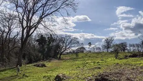 Photo de Cadbury Hill Fort