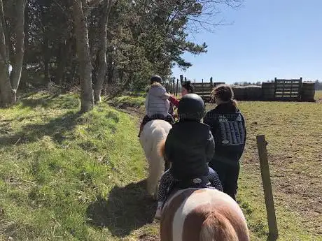 Photo de Ladymire Equestrian Centre