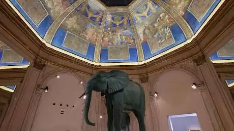 Photo de Padiglione Centrale
