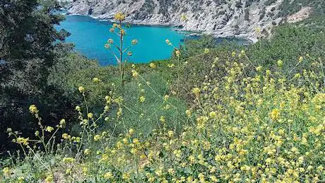 Photo de Solanas Adventure